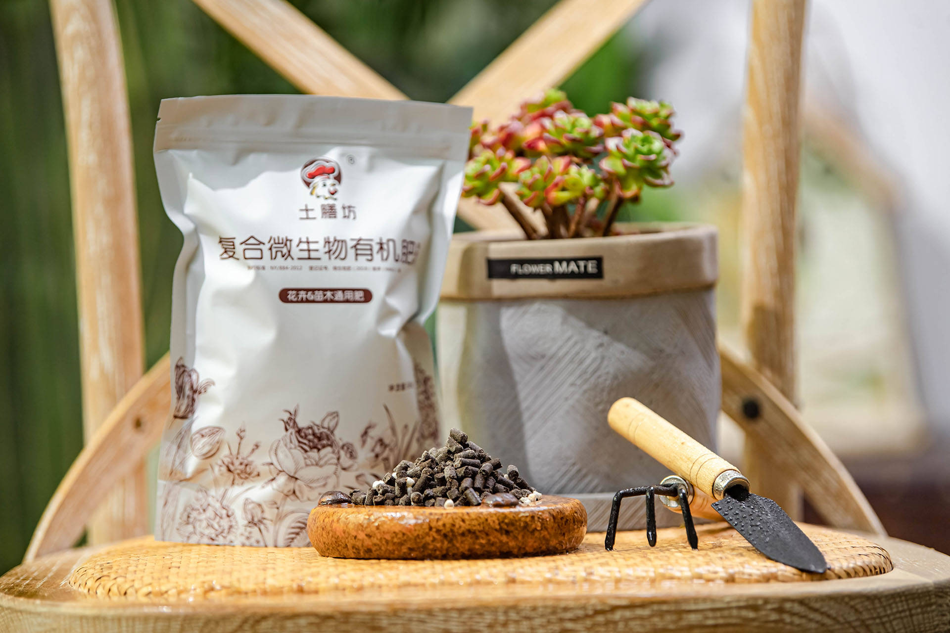 衛生間可以養什么綠植_衛生養間綠植可以放陽臺嗎_衛生間養綠植影響風水