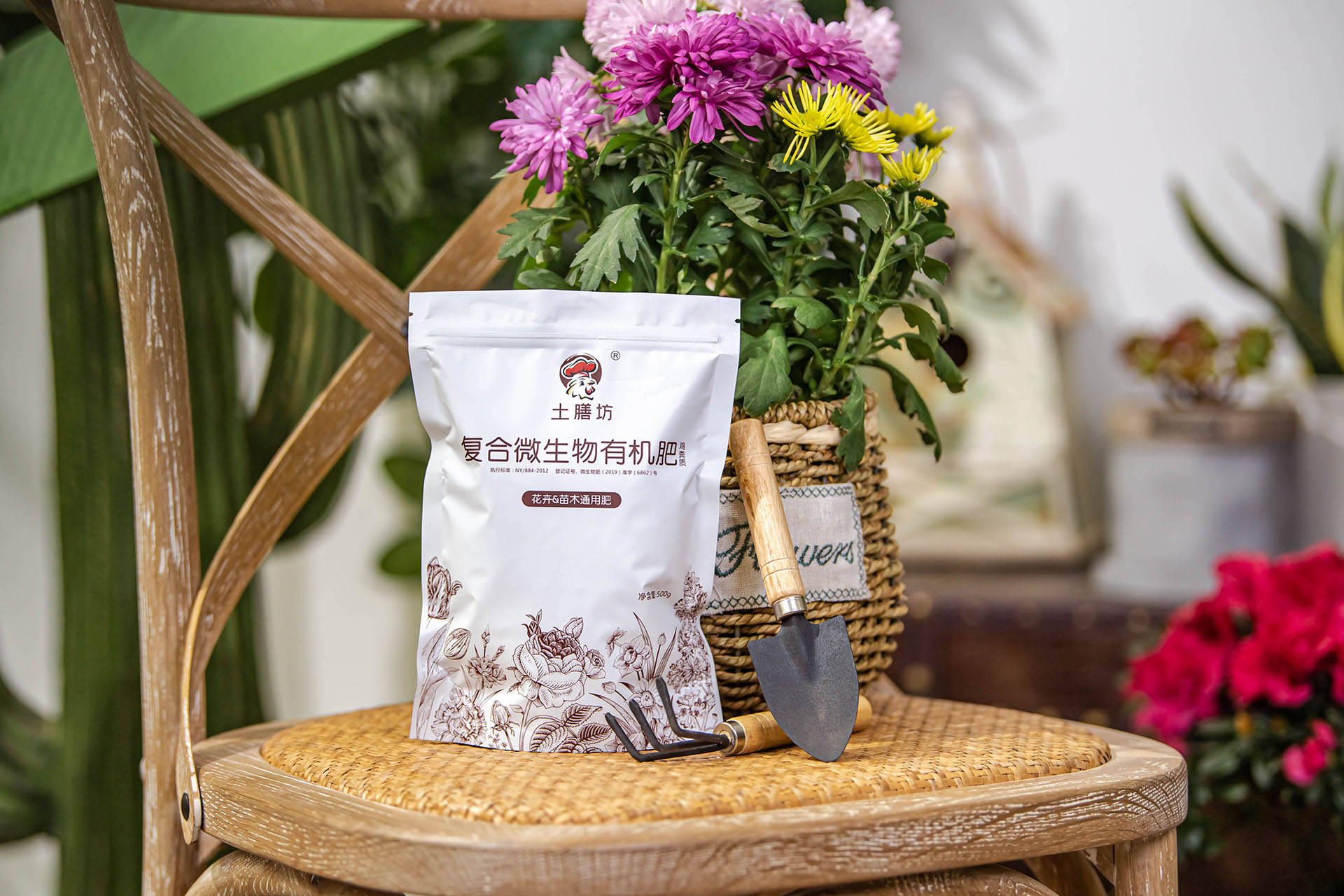 衛生養間綠植可以放陽臺嗎_衛生間可以養什么綠植_衛生間養綠植影響風水