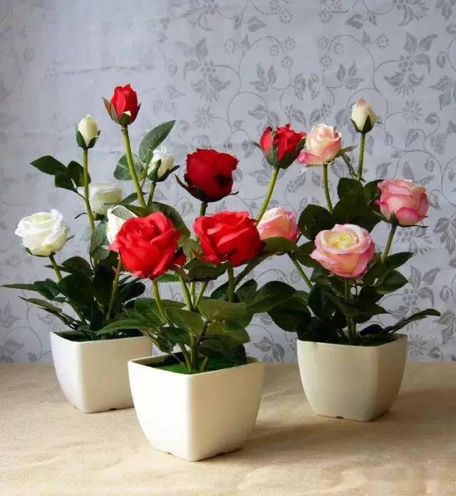 臥室適合綠植嗎_臥室綠植適合養什么花_適合臥室的綠植