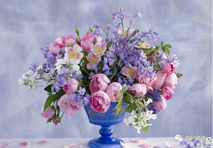 生日送花花語_生日送花的寓意_寓意生日送花祝福語