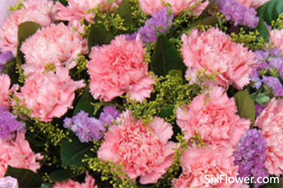 送花給老人什么花合適_送老人花什么花好_適合送老人的花