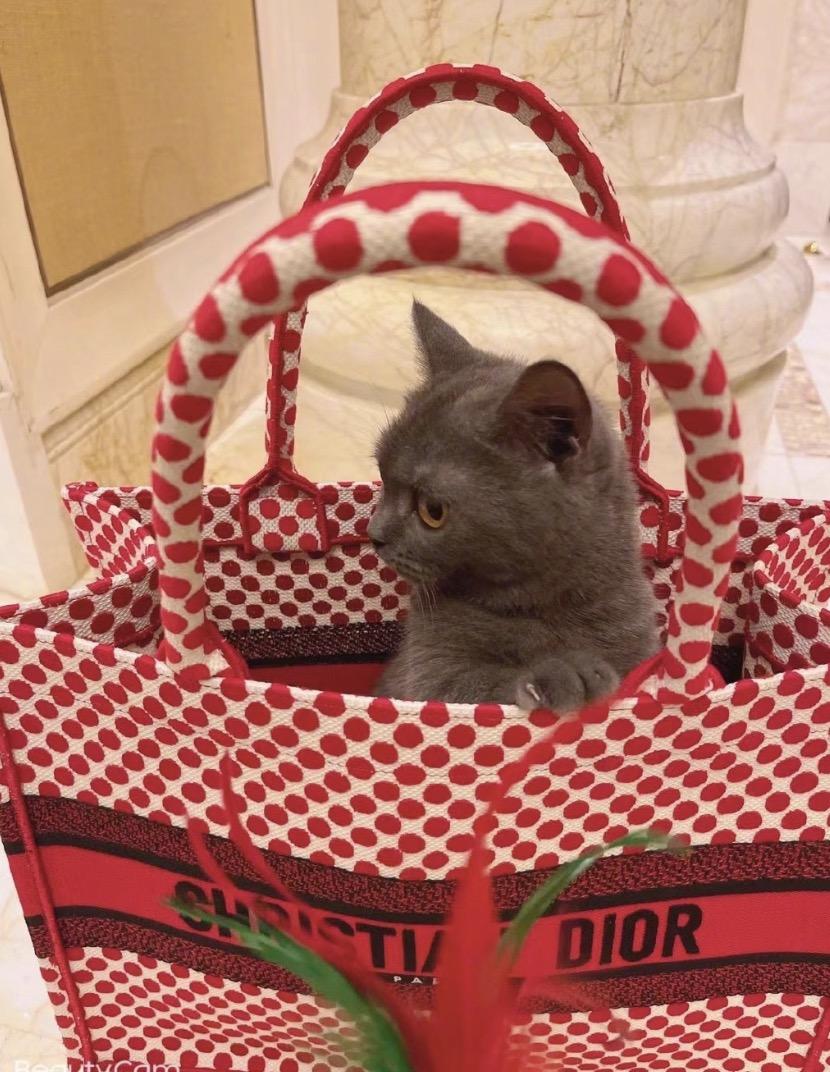 送紀(jì)念玫瑰老婆結(jié)婚花束怎么寫(xiě)_結(jié)婚紀(jì)念日送玫瑰花_結(jié)婚紀(jì)念日送老婆多少朵玫瑰花