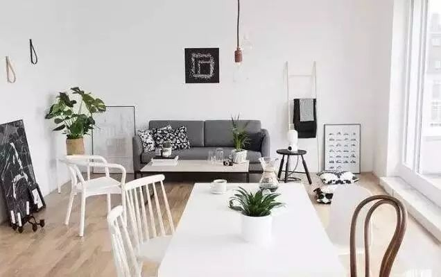 適合放在客廳的綠植_放客廳的綠植_客廳綠植放在適合什么位置