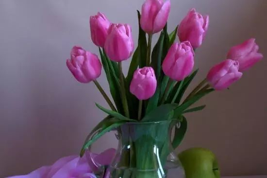 花卉大全藍(lán)色花名有哪些_藍(lán)色花卉大全花名_藍(lán)色的花名稱(chēng)大全