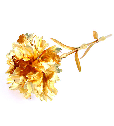 送長輩女性花祝福語_給五十多女性長輩送啥花_送女性長輩花送什么花好