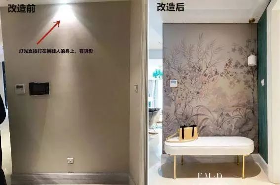 玄關鞋柜上放什么綠植好_玄關鞋柜擺什么花_玄關鞋柜放什么植物好