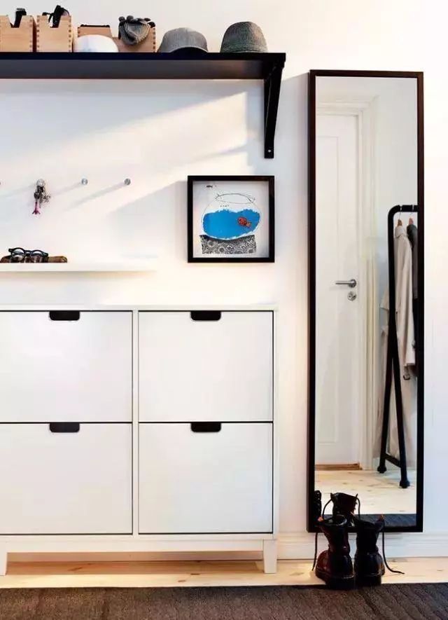 玄關鞋柜上放什么綠植好_玄關鞋柜放什么植物好_玄關鞋柜擺什么花