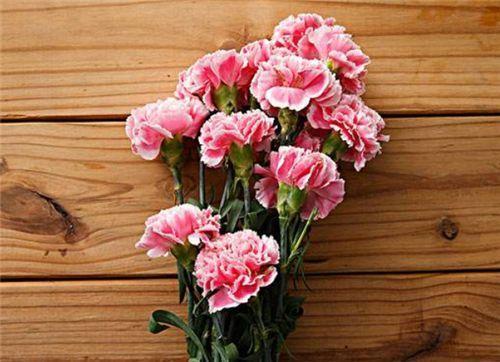 喬遷之喜送花的寓意_送花喬遷的話_喬遷送花的祝福語