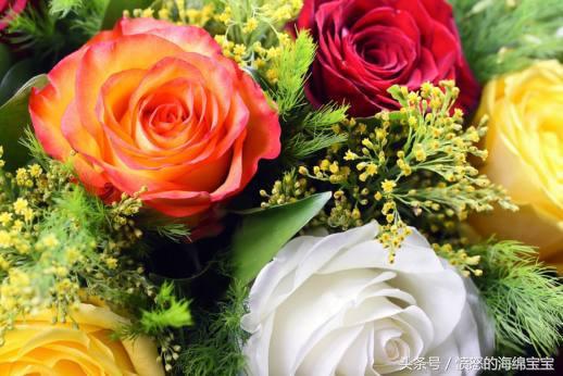 玫瑰花延長保鮮期的方法，讓心愛的人送你的玫瑰花保存更長久！