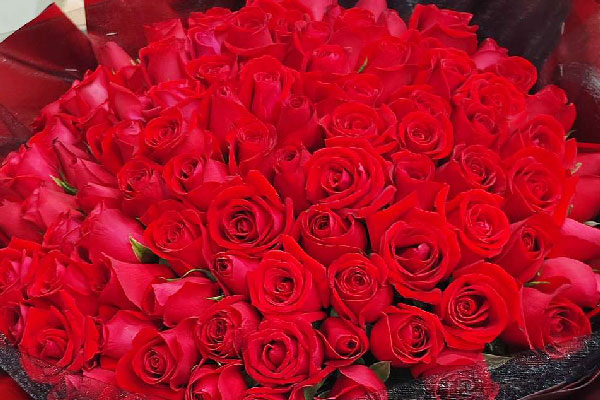 三八節的玫瑰花有哪些推薦