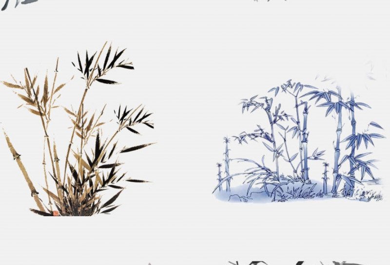 花卉庭院盆栽適合種什么花_適合庭院花盆種植的花樹_適合庭院盆栽的花卉